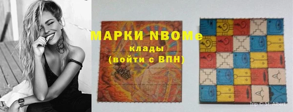 дживик Козельск