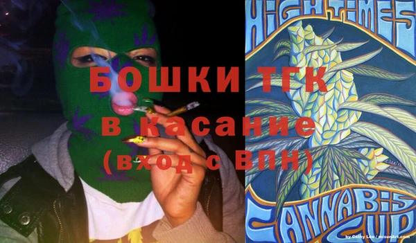 дживик Козельск
