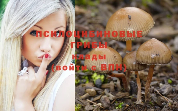 COCAINE Корсаков